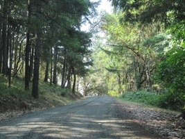 Drive to Reustle Prayer Rock 